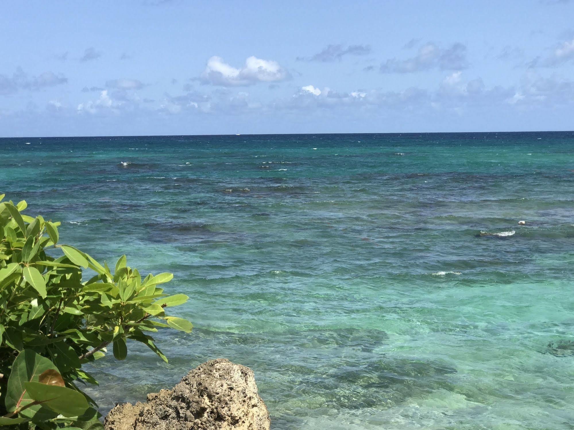 Ti.Maanga Vue Mer Pieds Dans L'Eau 圣弗朗索瓦 外观 照片