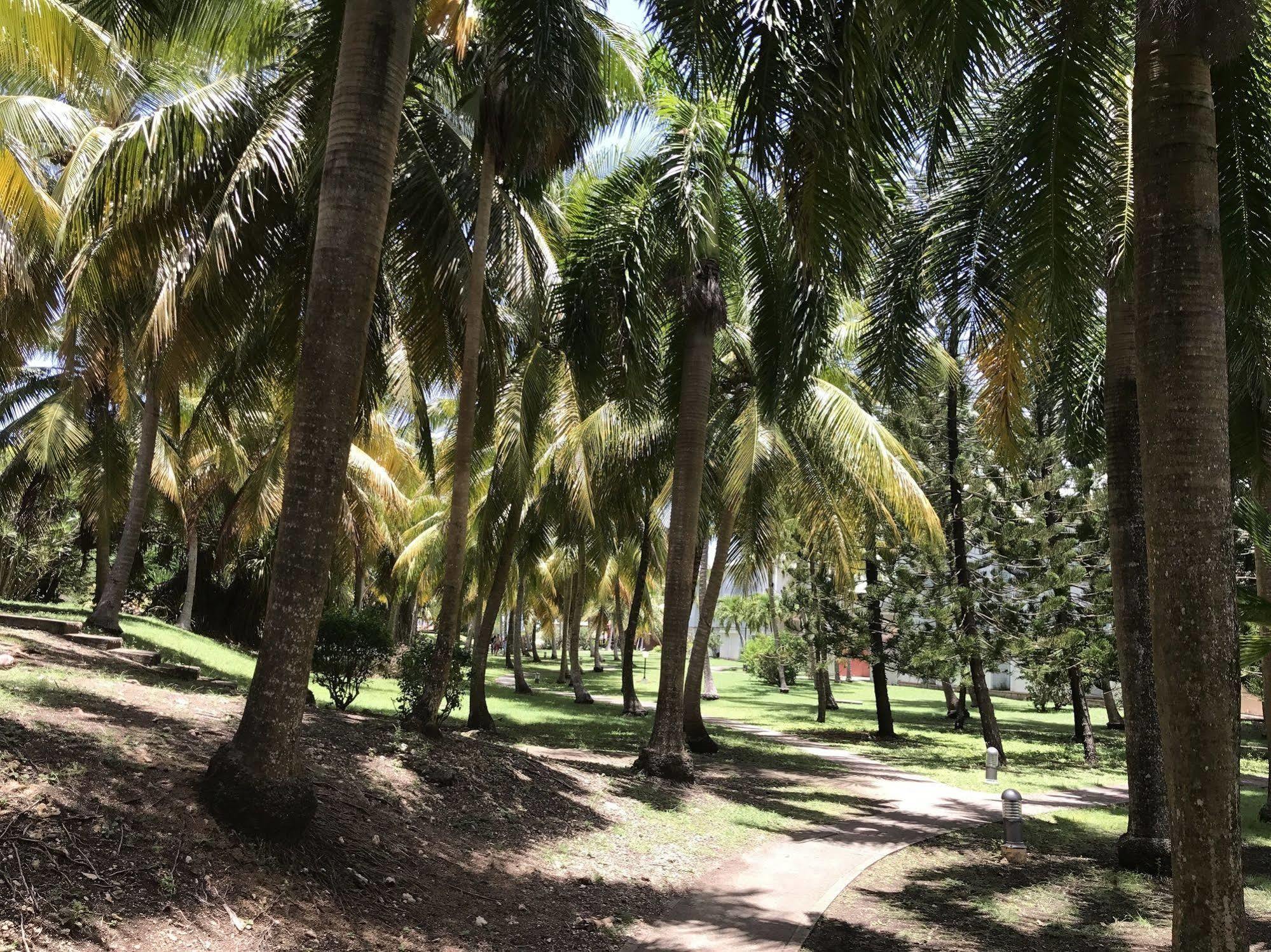 Ti.Maanga Vue Mer Pieds Dans L'Eau 圣弗朗索瓦 外观 照片