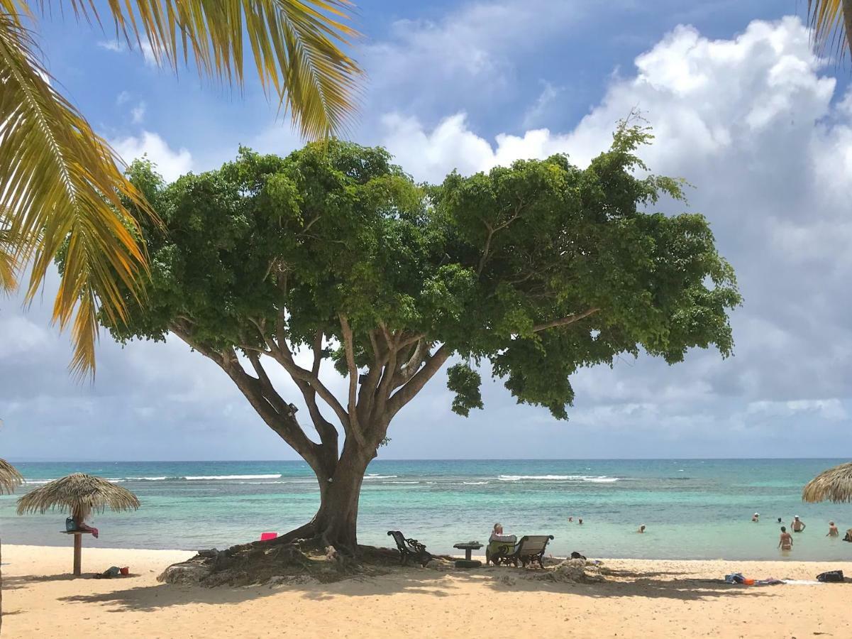Ti.Maanga Vue Mer Pieds Dans L'Eau 圣弗朗索瓦 外观 照片