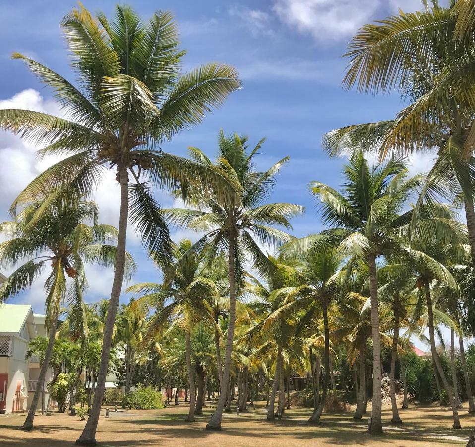 Ti.Maanga Vue Mer Pieds Dans L'Eau 圣弗朗索瓦 外观 照片